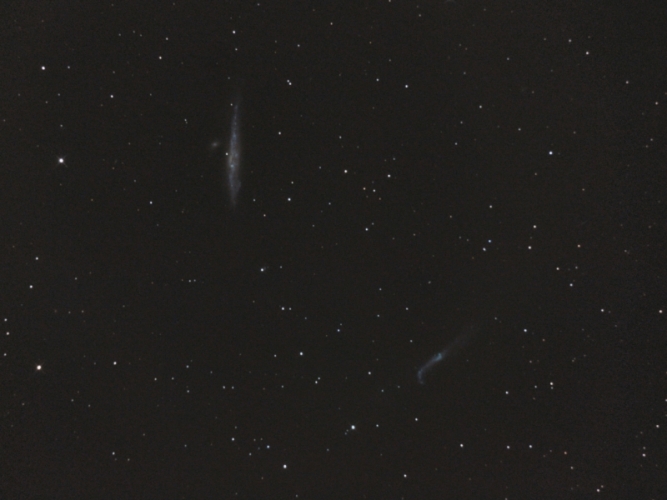 100406 NGC 4631 22x120sec Iso800_800p.jpg